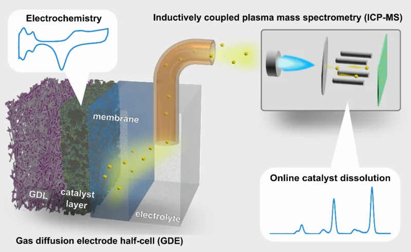 New paper online: Pt dissolution in realistic fuel cell catalyst layers