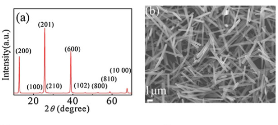 alpha-MoO3 nanowire-based amperometric biosensor for L-lactate detection