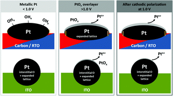 Anisotropy of Pt nanoparticles on carbon- and oxide-support and their structural response to electrochemical oxidation probed by in situ techniques