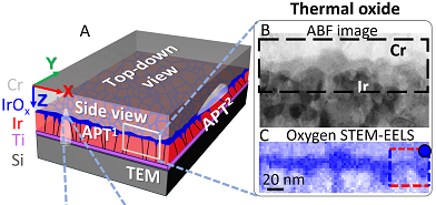 Atomic-scale insights into surface species of electrocatalysts in three dimensions