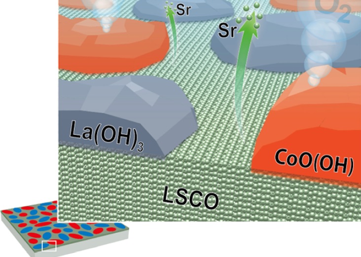 Atomistic insights into activation and degradation of La0.6Sr0.4CoO3-delta electrocatalysts under oxygen evolution conditions