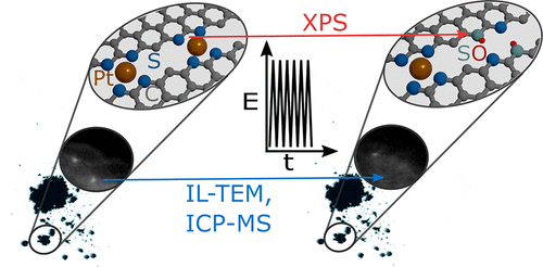 Atomistic insights into the stability of Pt single atom electrocatalysts