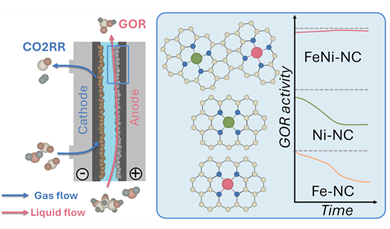 CO2 electrolysis paired with glycerol oxidation on transition metal single atom catalysts