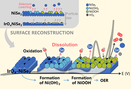 Compositional engineering of NiSe2 precatalysts with IrOx for controlled reconstruction towards improved alkaline OER