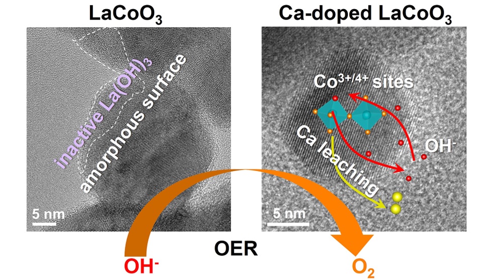 Correlating atomic-scale structural and compositional details of perovskite nanoparticles with activity and stability towards the oxygen evolution reaction