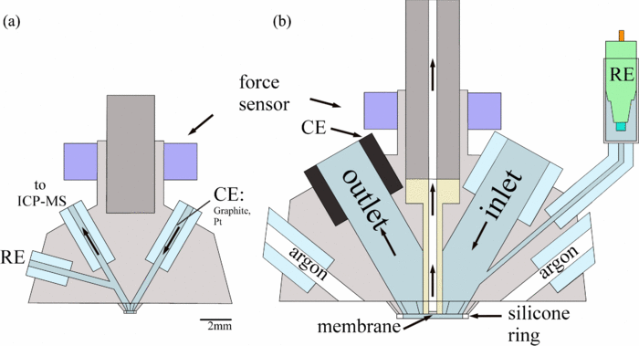 Coupling of a scanning flow cell with online electrochemical mass spectrometry for screening of reaction selectivity
