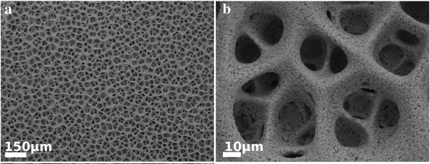 Direct electrodeposition of nanoporous gold with controlled multimodal pore size distribution