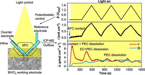 Dissolution of BiVO4 photoanodes revealed by time-resolved measurements under photoelectrochemical conditions