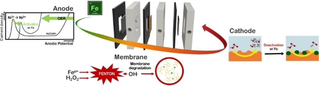 Effects of iron species on low temperature CO2 electrolyzers