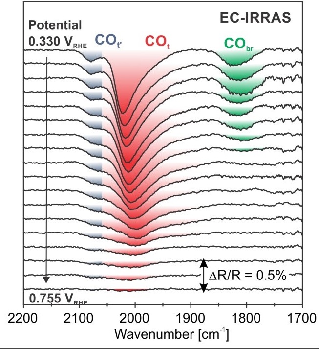 Electrifying model catalysts for understanding electrocatalytic reactions in liquid electrolytes