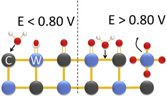 Electrochemical stability of hexagonal tungsten carbide in the potential window of fuel cells and water electrolyzers
