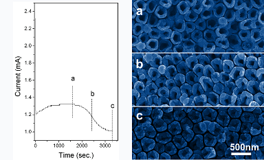 Electrodeposition mechanism of palladium nanotube and nanowire arrays