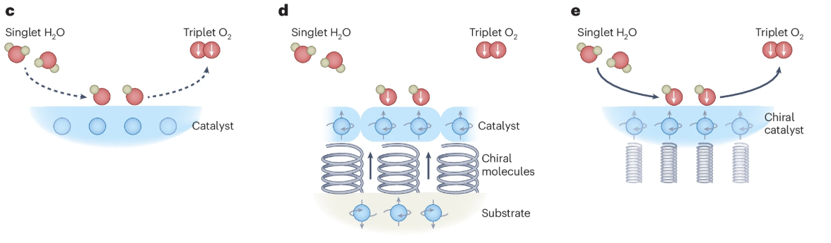 Electron spin matters