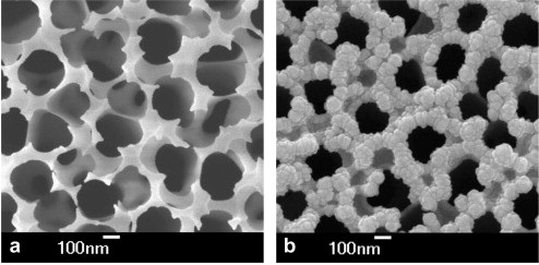 Electroplating of metal nanotubes and nanowires in a high aspect-ratio nanotemplate