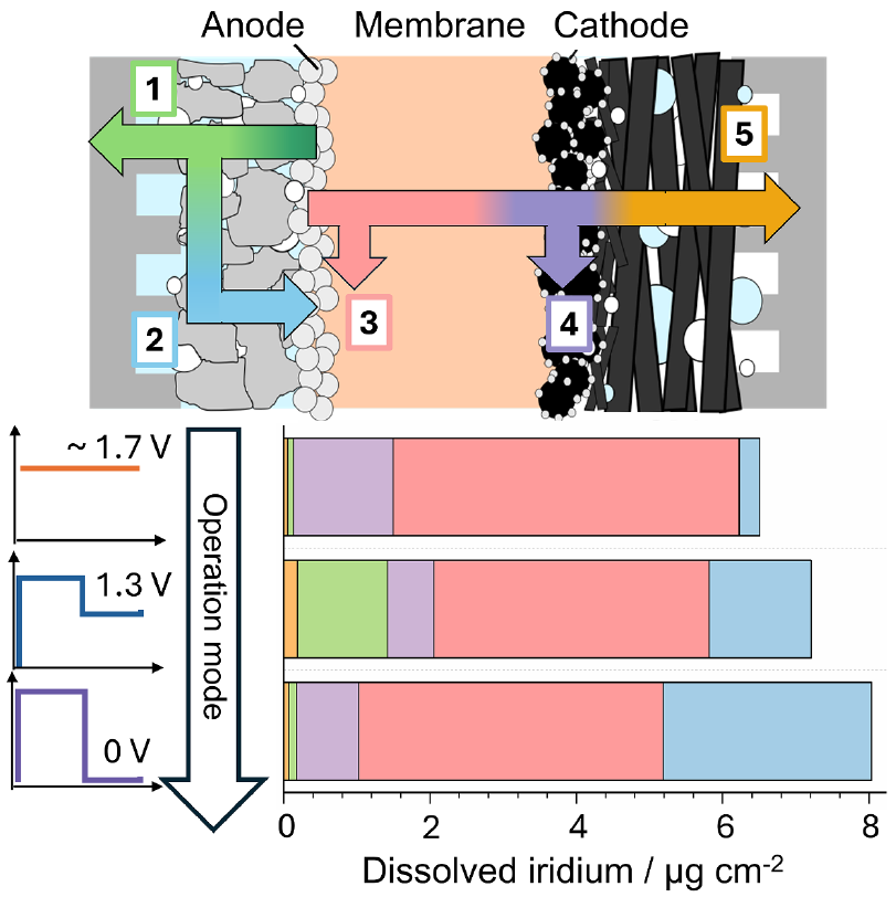 Empirical-modelling framework for unveiling iridium degradation pathways during intermittent operation of PEMWE