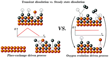 Gold dissolution: towards understanding of noble metal corrosion