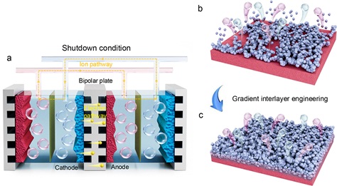 Heterointerface-enabled anti-reverse-current electrodes for alkaline water electrolyzers at 1000 mA cm-2