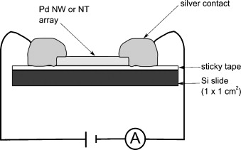 Hydrogen sensing performance of electrodeposited conoidal palladium nanowire and nanotube arrays