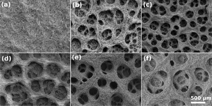 Hydrogen template assisted electrodeposition of sub-micrometer wires composing honeycomb-like porous Pb films