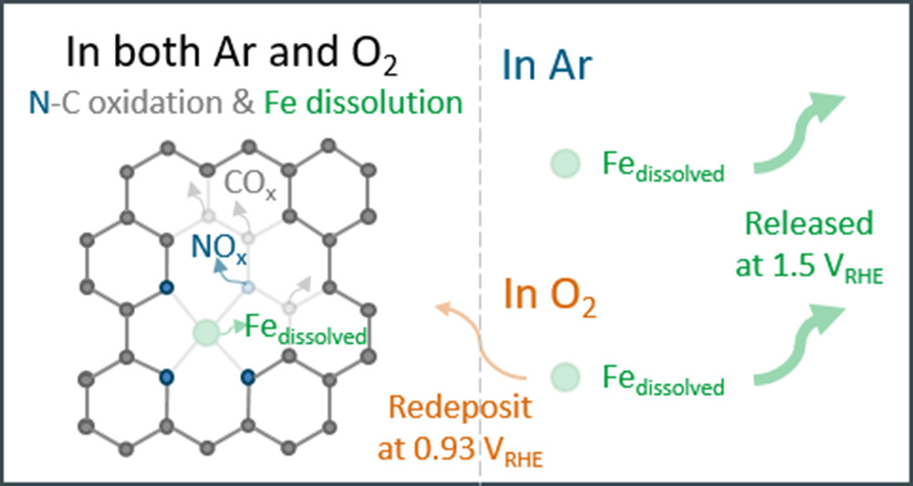 Impact of carbon corrosion and denitrogenation on the deactivation of Fe-N-C catalysts in alkaline media