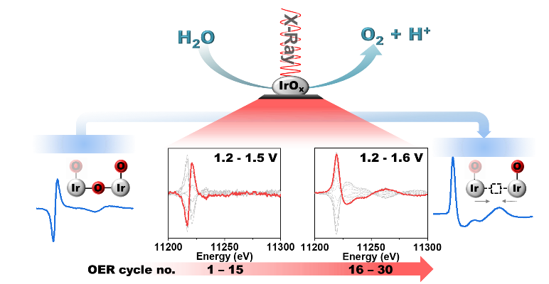 Increased Ir-Ir interaction in iridium oxide during the oxygen evolution reaction at high potentials probed by operando spectroscopy