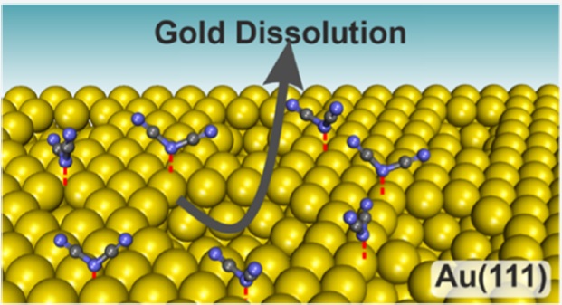 Interactions of the ionic liquid [C2C1Im][DCA] with Au(111) electrodes: Interplay between ion adsorption, electrode structure and stability