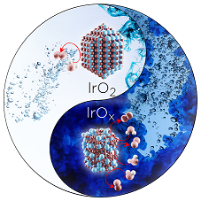 Interrelations of oxygen evolution and iridium dissolution mechanisms