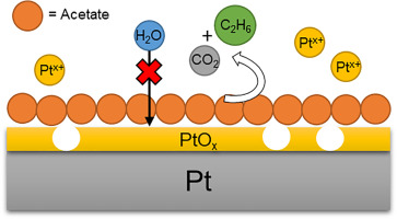 Investigating the platinum electrode surface during Kolbe electrolysis of acetic acid