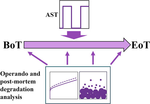 Joint forces: Time-resolved analysis of electrochemical performance, nanostructure, and iridium dissolution of PEM water electrolysis cells with low iridium loadings under harsh on/off cycling conditions