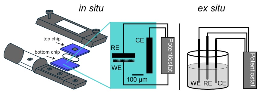 Live imaging of silver nanostructures electrochemically dissolving at open circuit potential