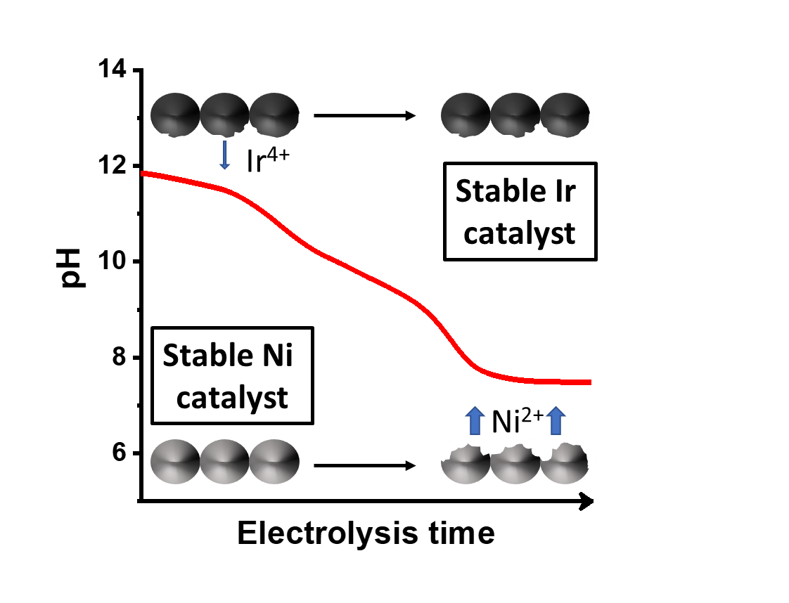 Local chemical environment governs anode processes in CO2 electrolyzers