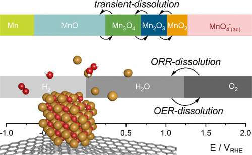 Mechanisms of manganese oxide electrocatalysts degradation during oxygen reduction and oxygen evolution reactions