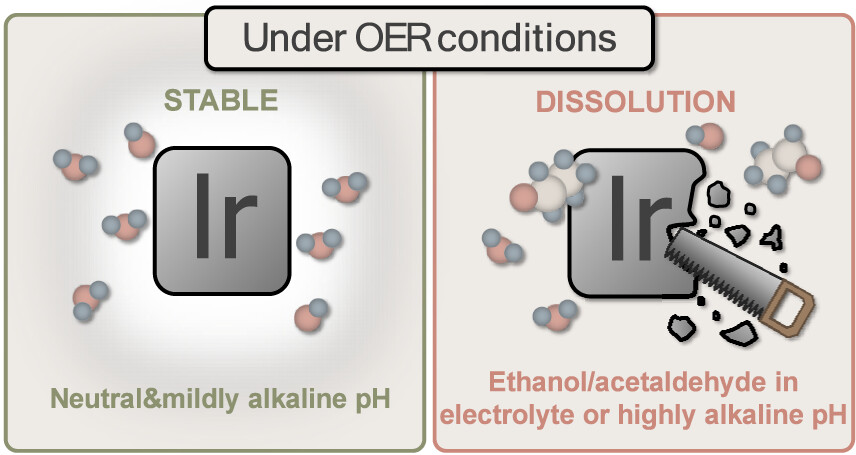 Microenvironment matters: Destabilization of iridium anode catalyst by CO reduction products