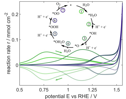 Microkinetic analysis of the oxygen evolution reaction at iridium oxide including aging effects