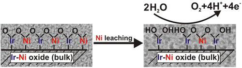 Molecular insight in structure and activity of highly efficient, low-Ir Ir-Ni oxide catalysts for electrochemical water splitting