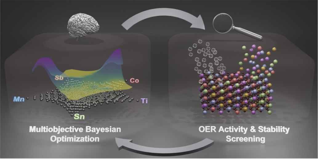 Navigating the unknown with AI: Multiobjective Bayesian optimization of non-noble acidic OER catalysts
