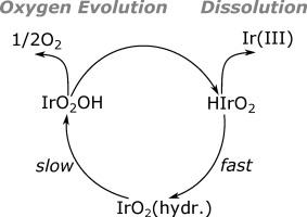 Oxygen evolution activity and stability of iridium in acidic media. Part 2.  Electrochemically Grown Hydrous Iridium Oxide