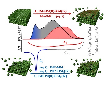 Palladium electrodissolution from model surfaces and nanoparticles