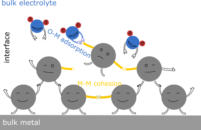 Periodicity in the electrochemical dissolution of transition metals