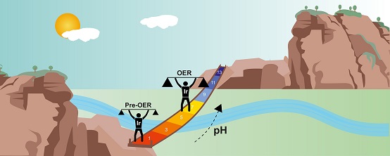 pH dependence of noble metals dissolution: Iridium