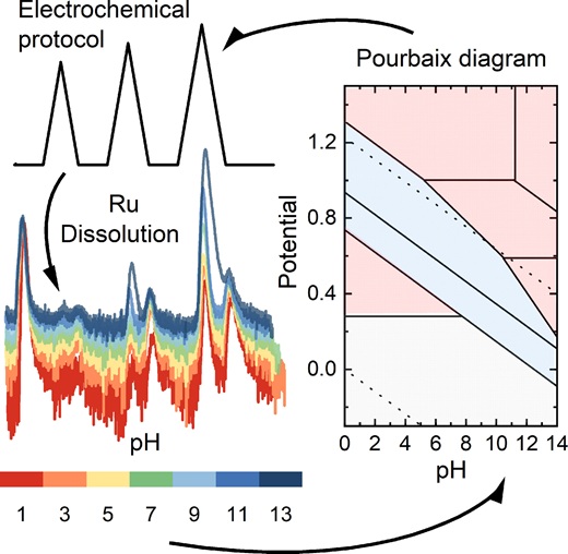 pH dependence of noble metals dissolution: Ruthenium