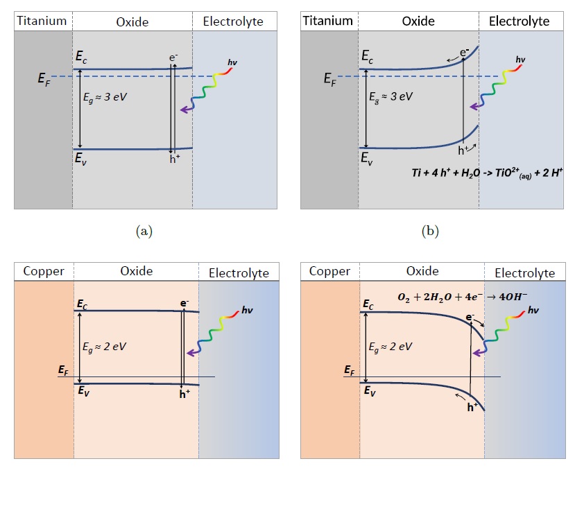 Photocorrosion of n- and p-type semiconducting oxide covered metals: Case studies of anodized titanium and copper