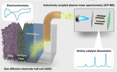 Platinum dissolution in realistic fuel cell catalyst layers