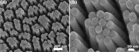 Pt and Pd decorated Au nanowires: Extremely high activity of ethanol oxidation in alkaline media