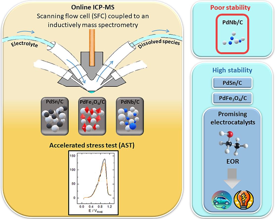 Stability of supported Pd-based ethanol oxidation reaction electrocatalysts in alkaline media