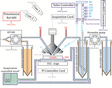 Temperature-dependent dissolution of polycrystalline platinum in sulfuric acid electrolyte