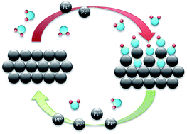 Towards a comprehensive understanding of platinum dissolution in acidic media