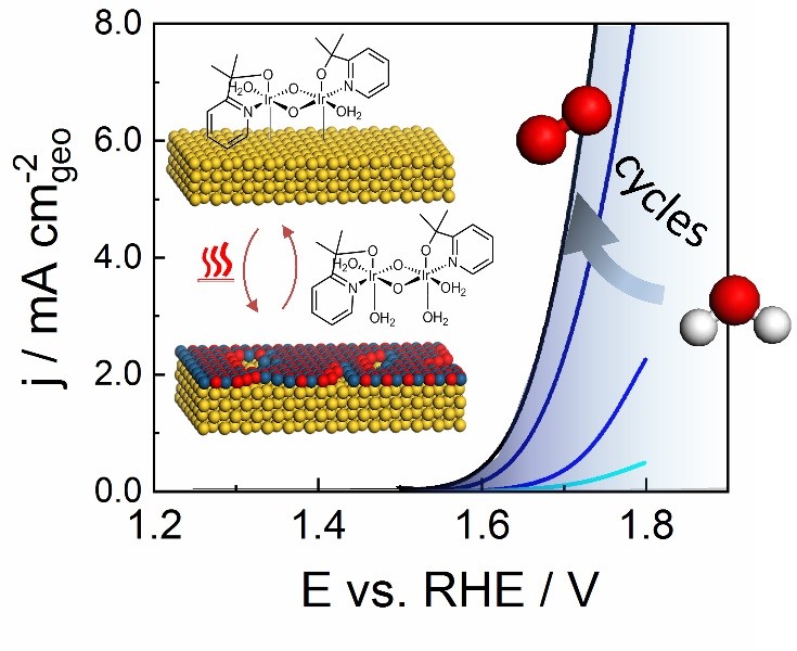 Towards maximized utilization of iridium for the acidic oxygen evolution reaction