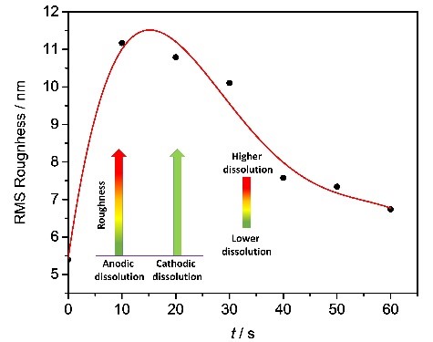 Tuning anodic and cathodic dissolution of gold by varying the surface roughness