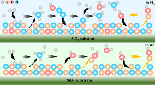 Understanding the activity and stability of vanadium oxynitride thin films for N2 reduction to ammonia by combining theory and operando measurements